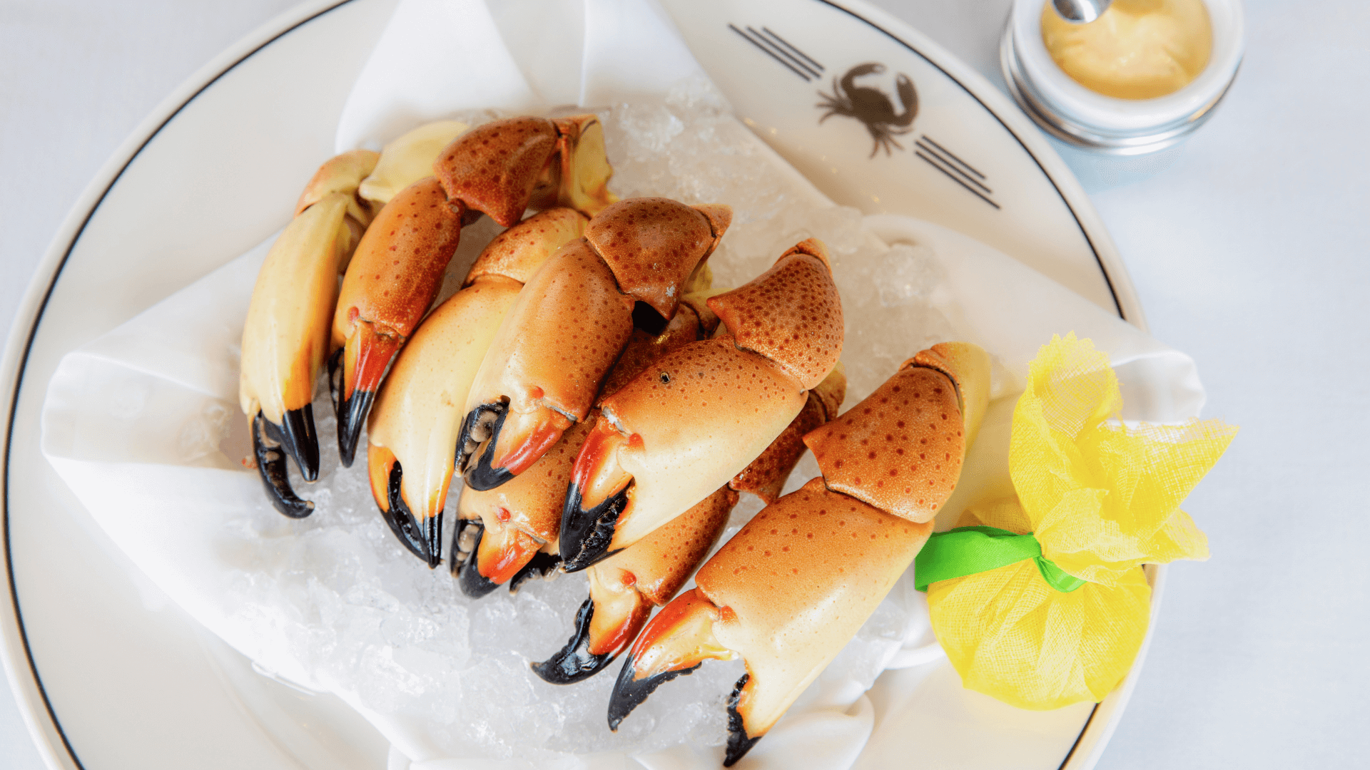 Fresh Florida stone crab claws on ice